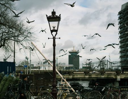 A scenic view of birds flying over a canal bridge in Amsterdam, capturing urban tranquility.