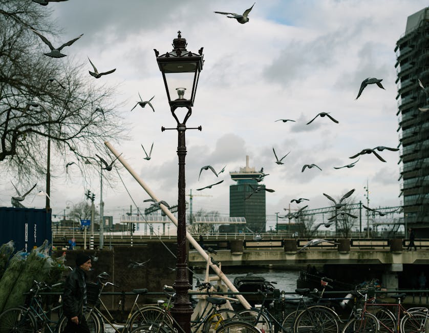 Cheap Flights to Amsterdam Canals – Best Airlines & Deals - Featured Image