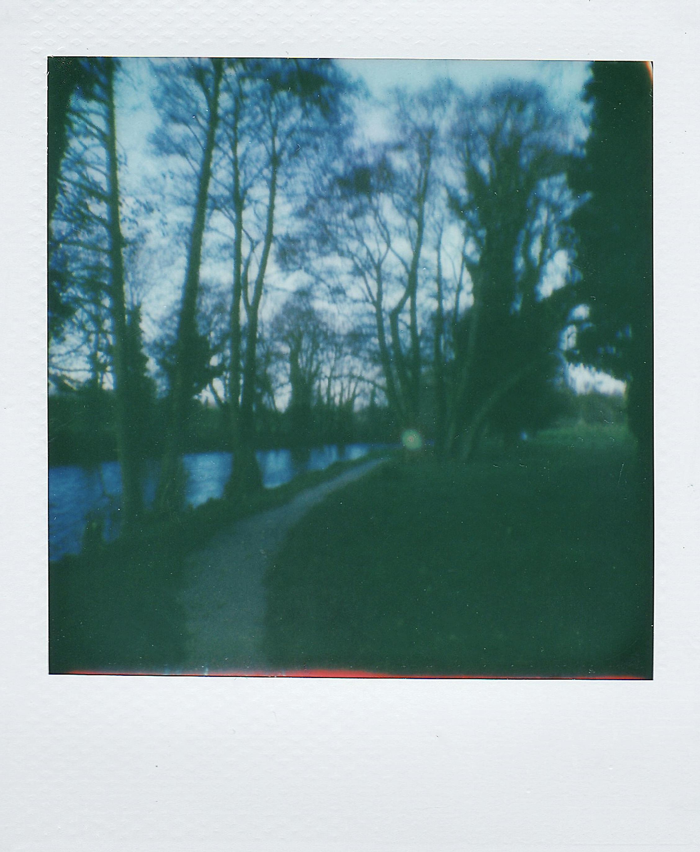 Blurred image of a tree-lined riverside path at dusk, evoking tranquility and solitude.
