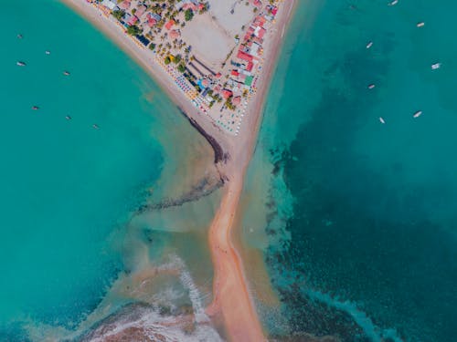 Drone Photography of Beach during Daytime
