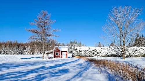 A Cabin in the Countryside during Winter