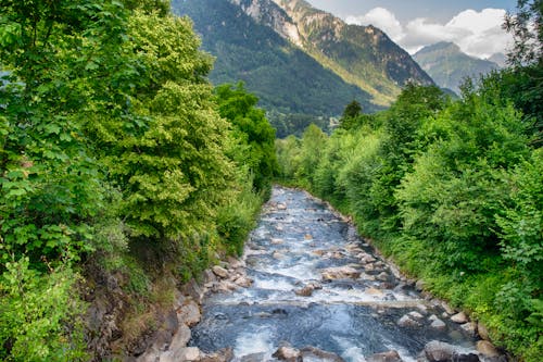 Kostnadsfri bild av flod, miljö, natur
