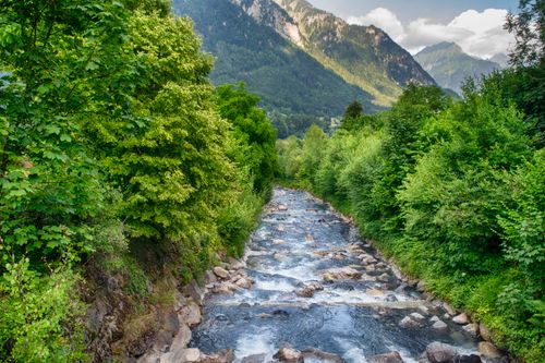 Free A vibrant stream flows through lush green forest nestled in mountain valley. Stock Photo