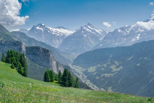 Snow Capped Mountains Under the Blue Sky