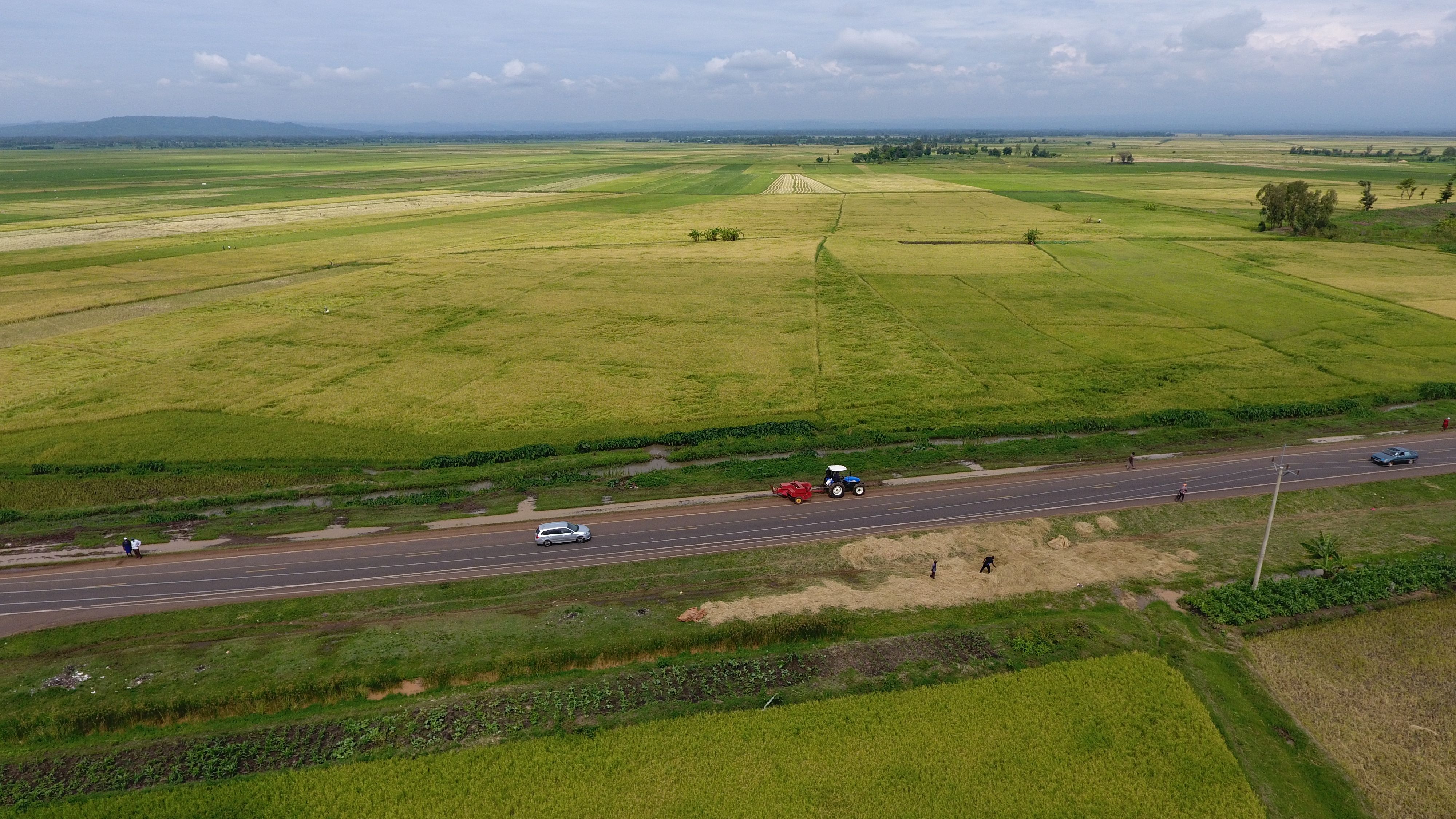 A scenic aerial view showing vast lush fields and a road in Kirinyaga County, Kenya.