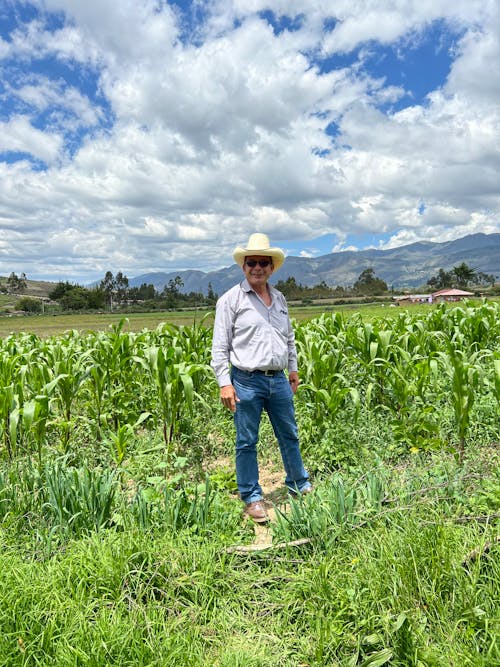 Immagine gratuita di agricoltura, anziano, azienda agricola