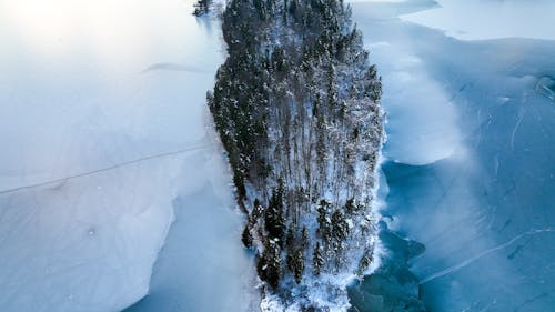 Immagine gratuita di alberi, fotografia aerea, freddo