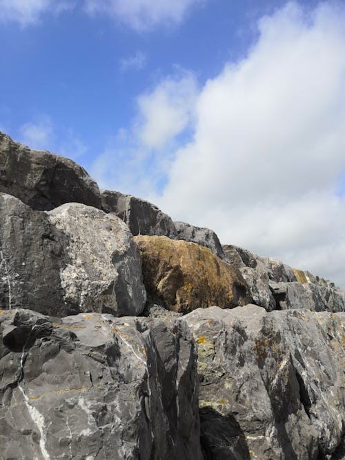 Free stock photo of beach, coastal defences, coastal land