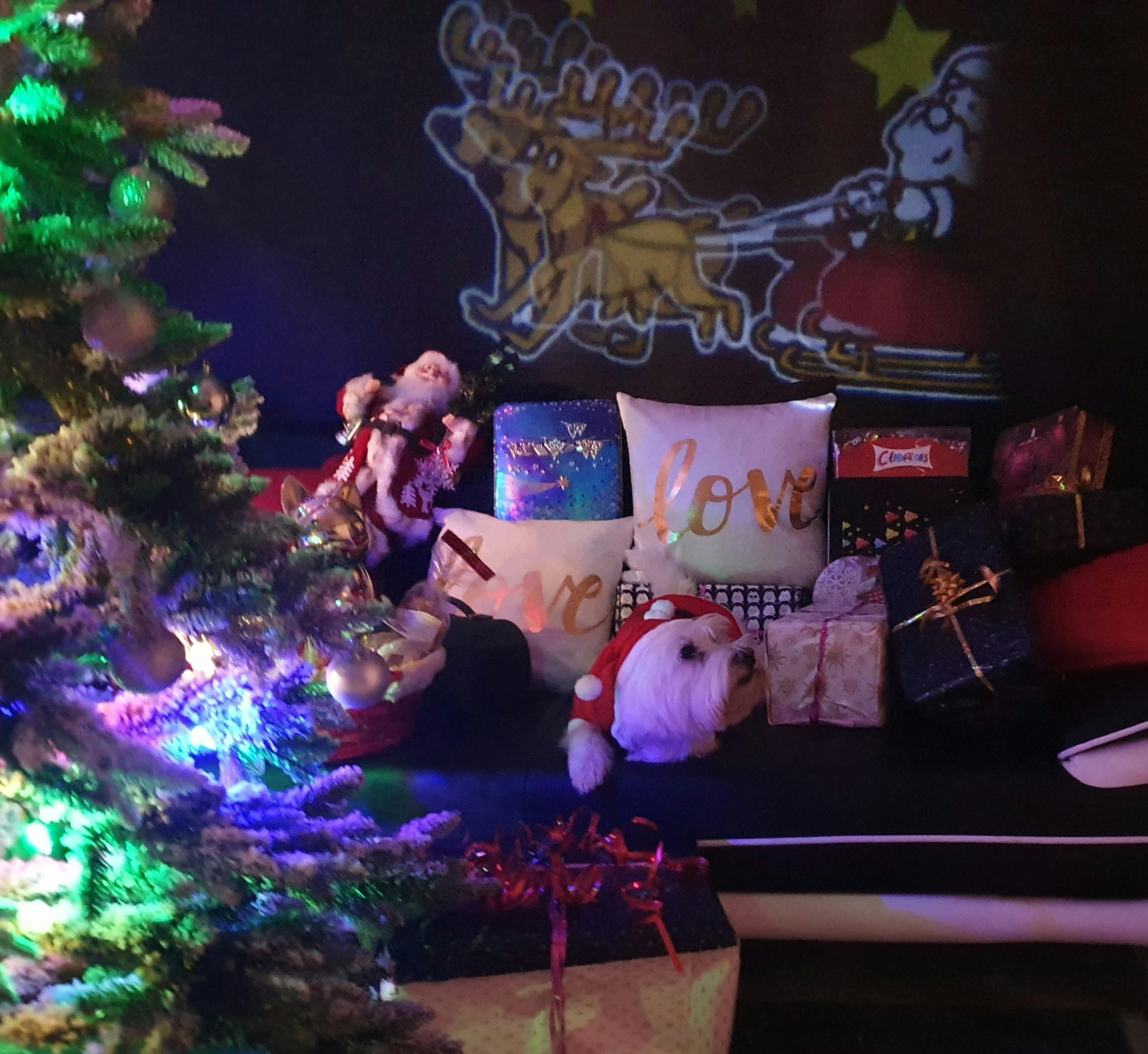 다양한 한국 길거리 음식