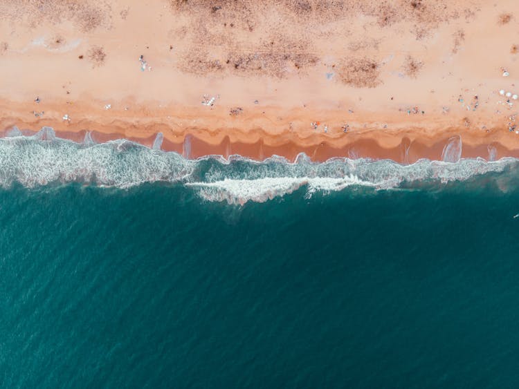 Aerial View Of People At The Beach 