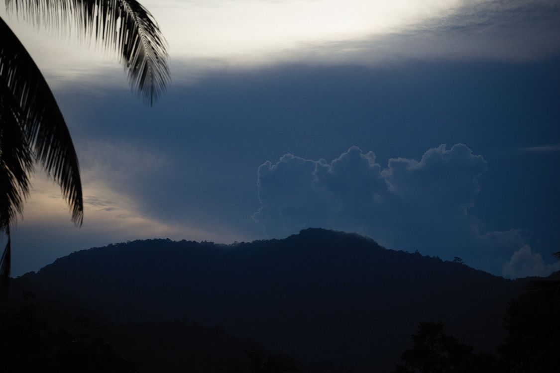 Free Silhouette of palm trees with hills and clouds at sunset. Stock Photo