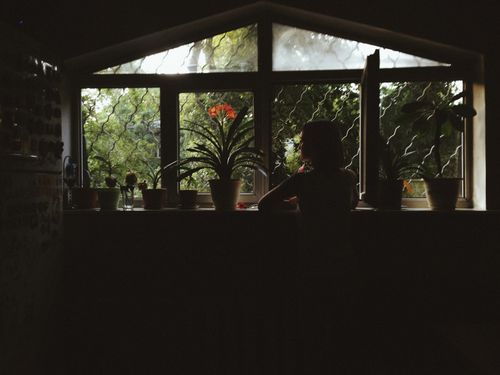 Free A silhouette of a woman surrounded by potted plants near an open window, showcasing natural light and indoor greenery. Stock Photo