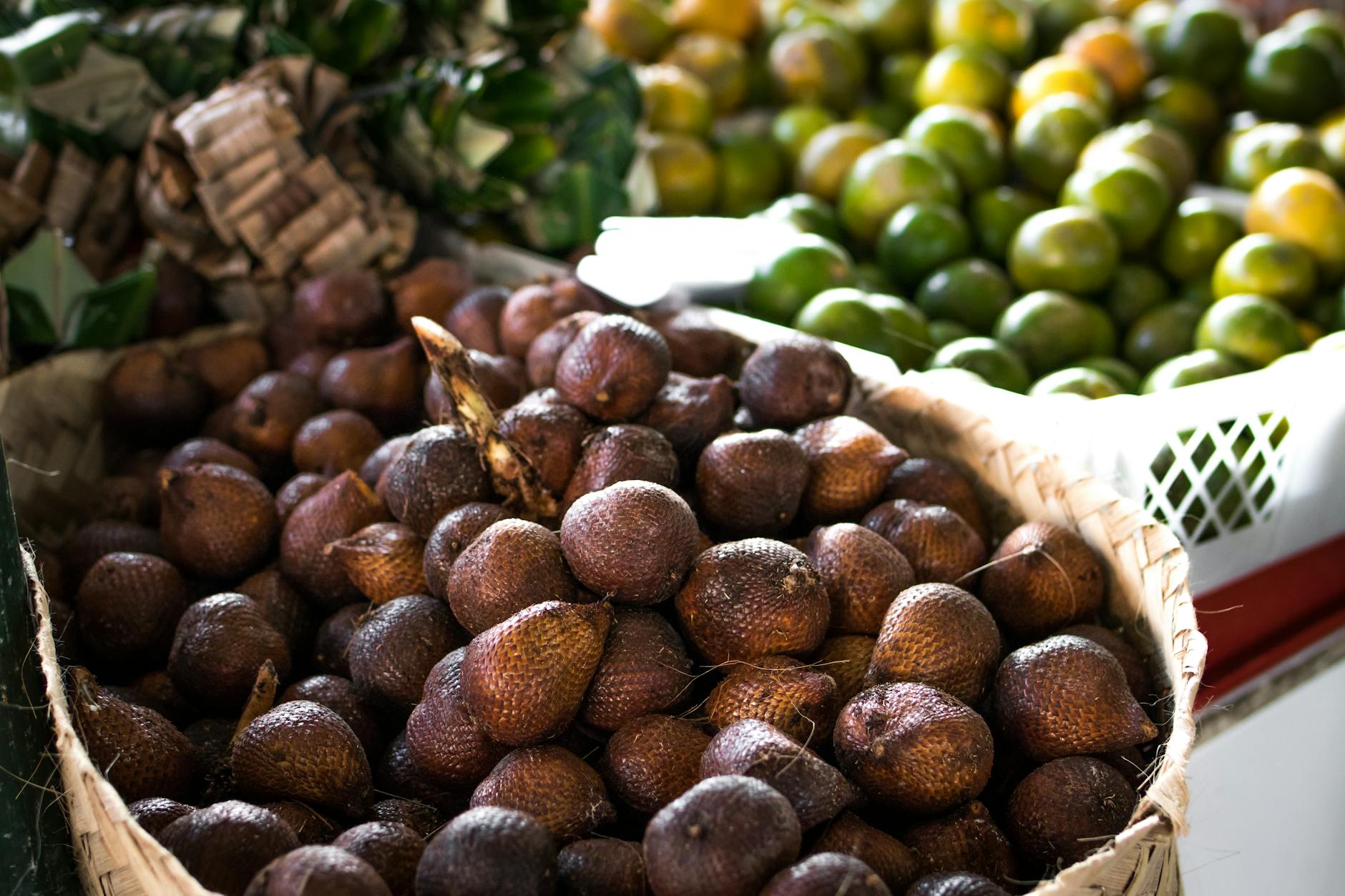 Snake Fruit Palm Tree | Amazing Exotic Fruits You Didn't Know But Should