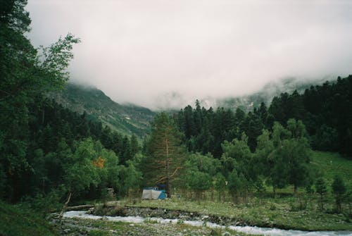 Photos gratuites de arbres, calme, colline