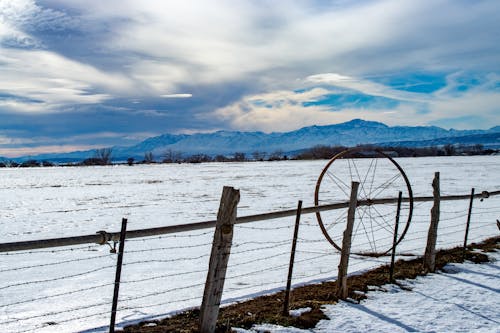 Free Wire Fence on Snow Covered Field Stock Photo