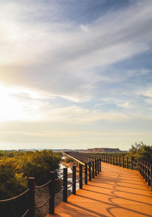 Free Wooden boardwalk under a clear blue sky, offering a peaceful scenic view. Stock Photo