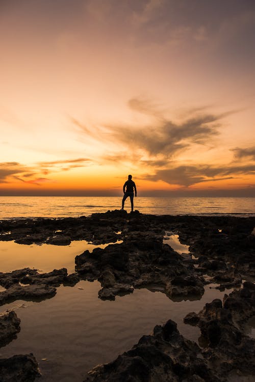 Free Silhouette of a Person Standing on Seashore Stock Photo