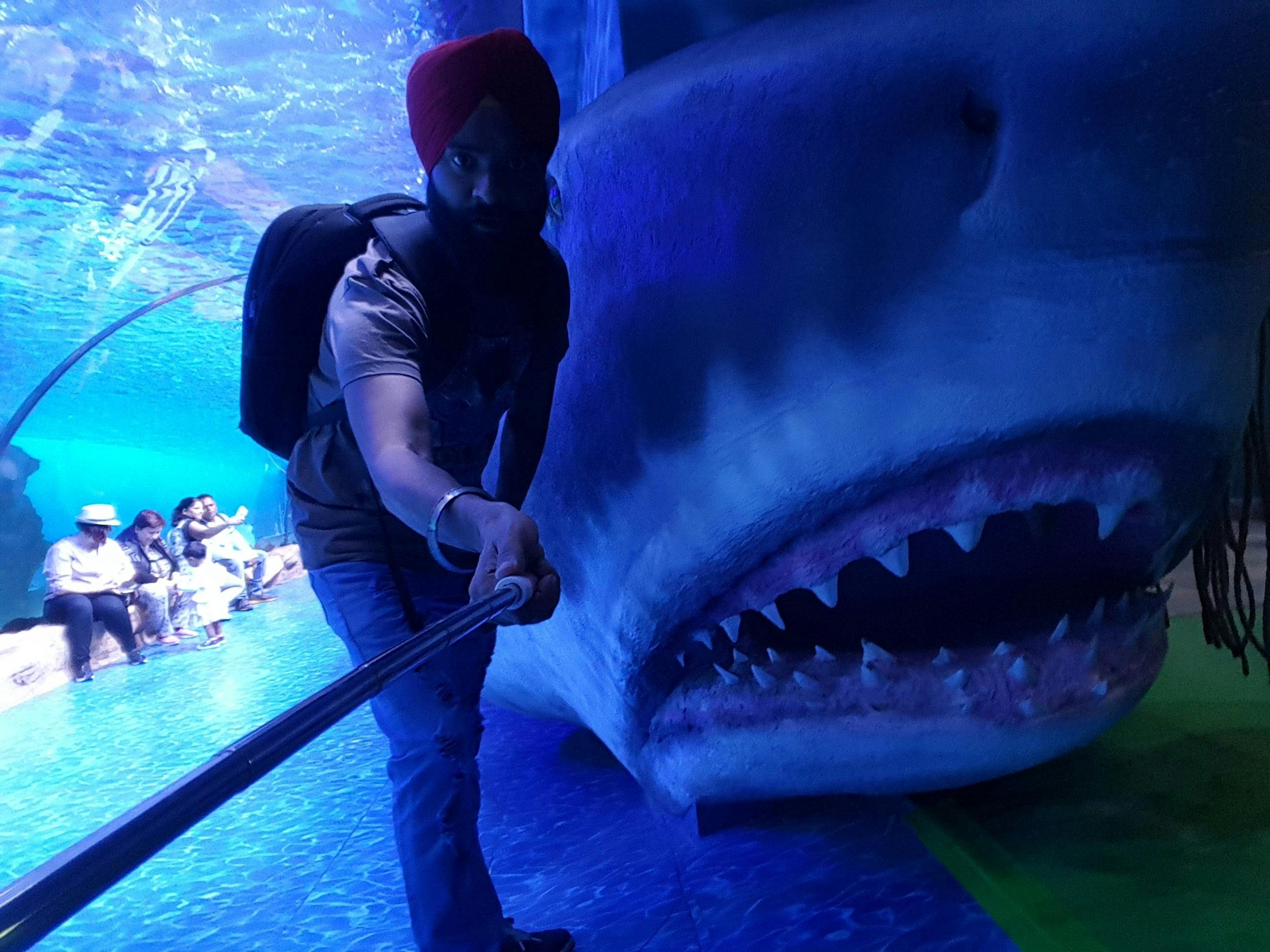 Dubai aquarium VRZOO