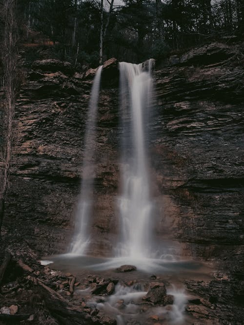 Scenic View of a Waterfall in the Middle of a Forest