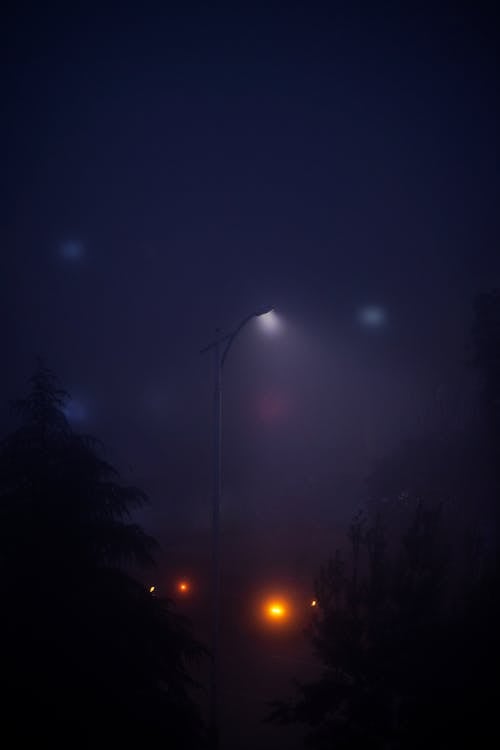 Illuminated Street Light during Night Time