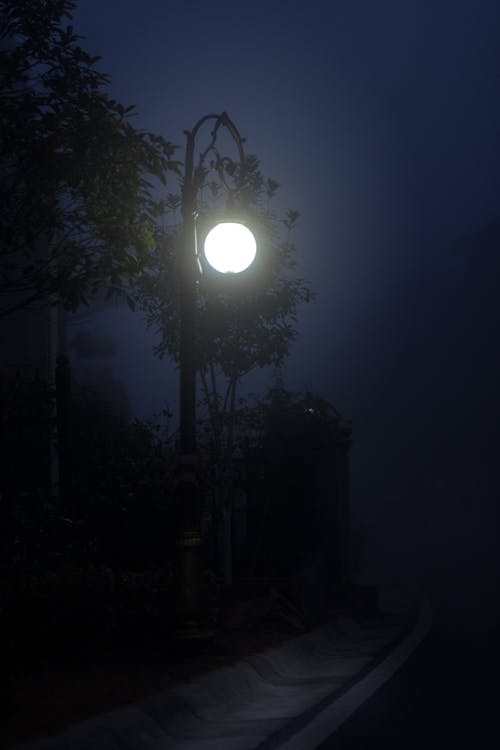 Illuminated Street Light during Night Time