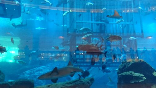 Free stock photo of dubai Stock Photo