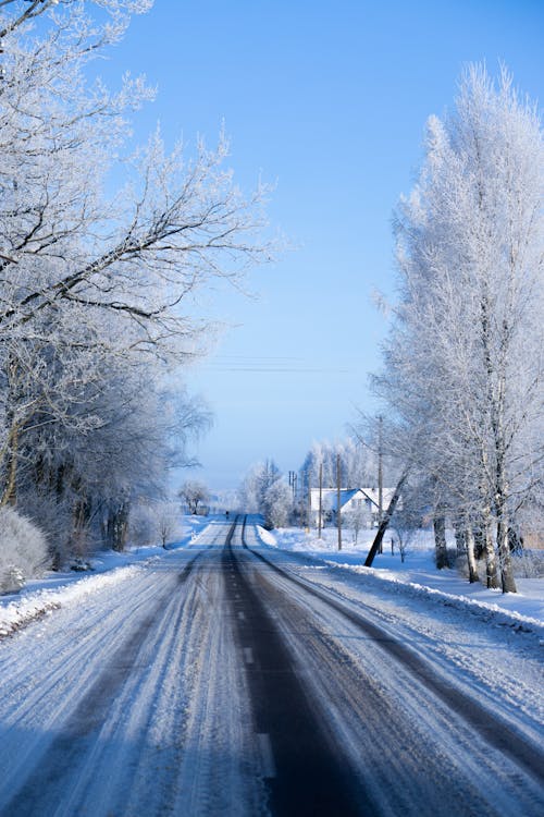Free Scenic View of a Snow-Covered Road Stock Photo