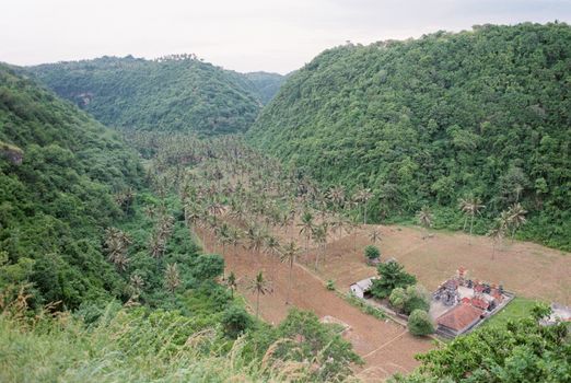 High Angle View of Green Mountains and Filed with Palm Trees