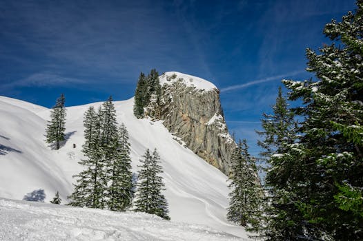 Scenic winter landscape featuring snow-covered mountain and evergreen trees under a clear blue sky.