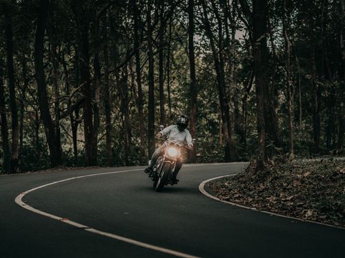 Free Motorcyclist riding on a winding road through a dense forest, showcasing adventure and nature. Stock Photo
