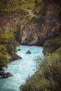 Green Trees Beside River