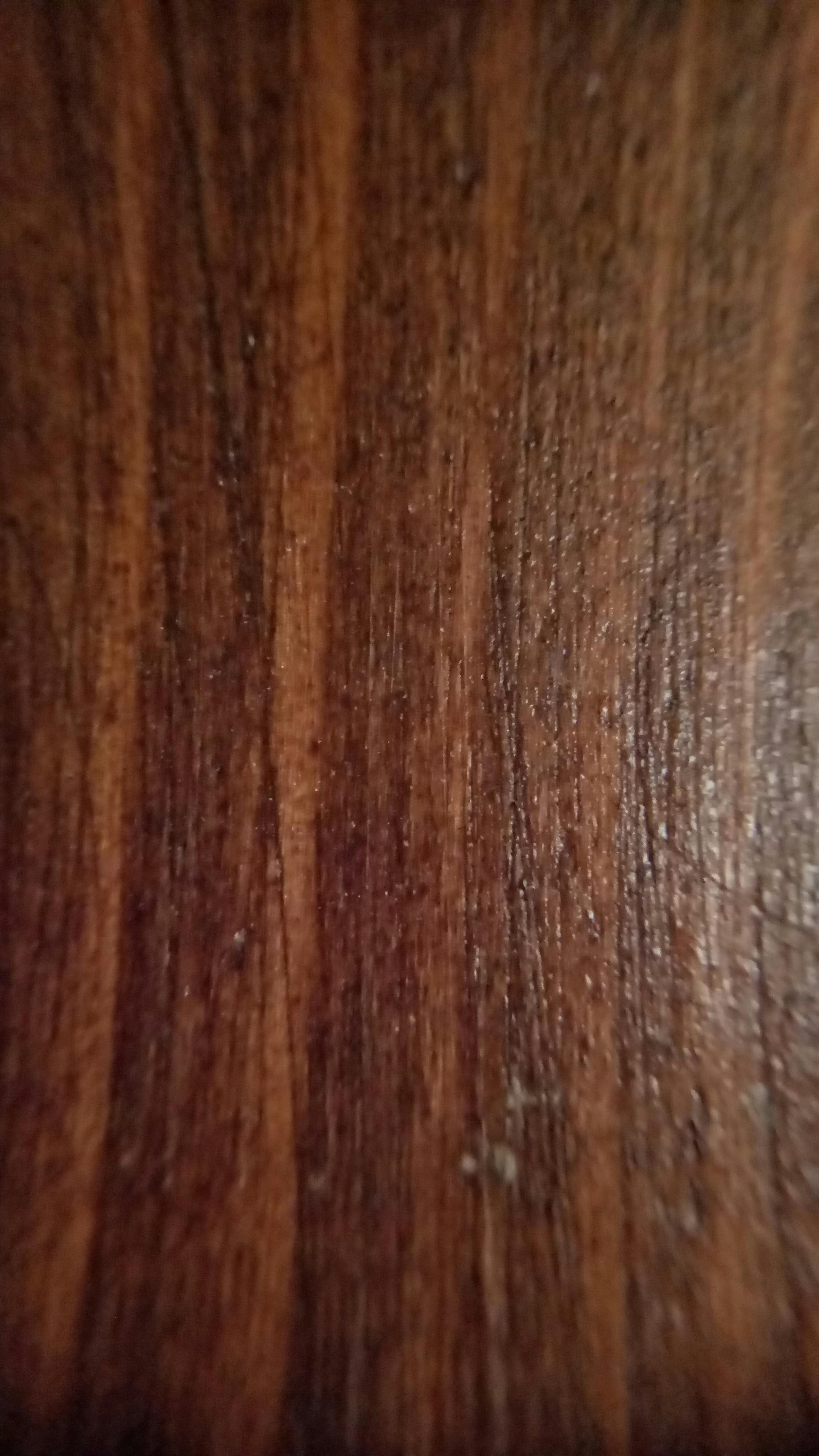 Free stock photo of microphotography, wood, wood grain