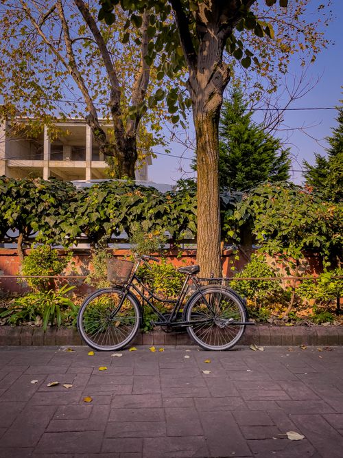 Free A classic vintage bicycle parked on a serene, leafy street with autumn foliage. Stock Photo