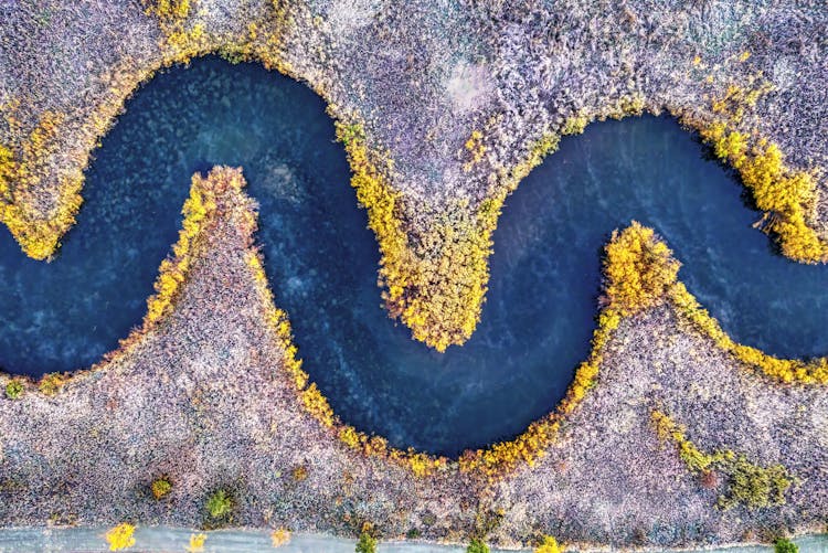 Aerial Footage Of A Regulated River Meander And Yellow Plants