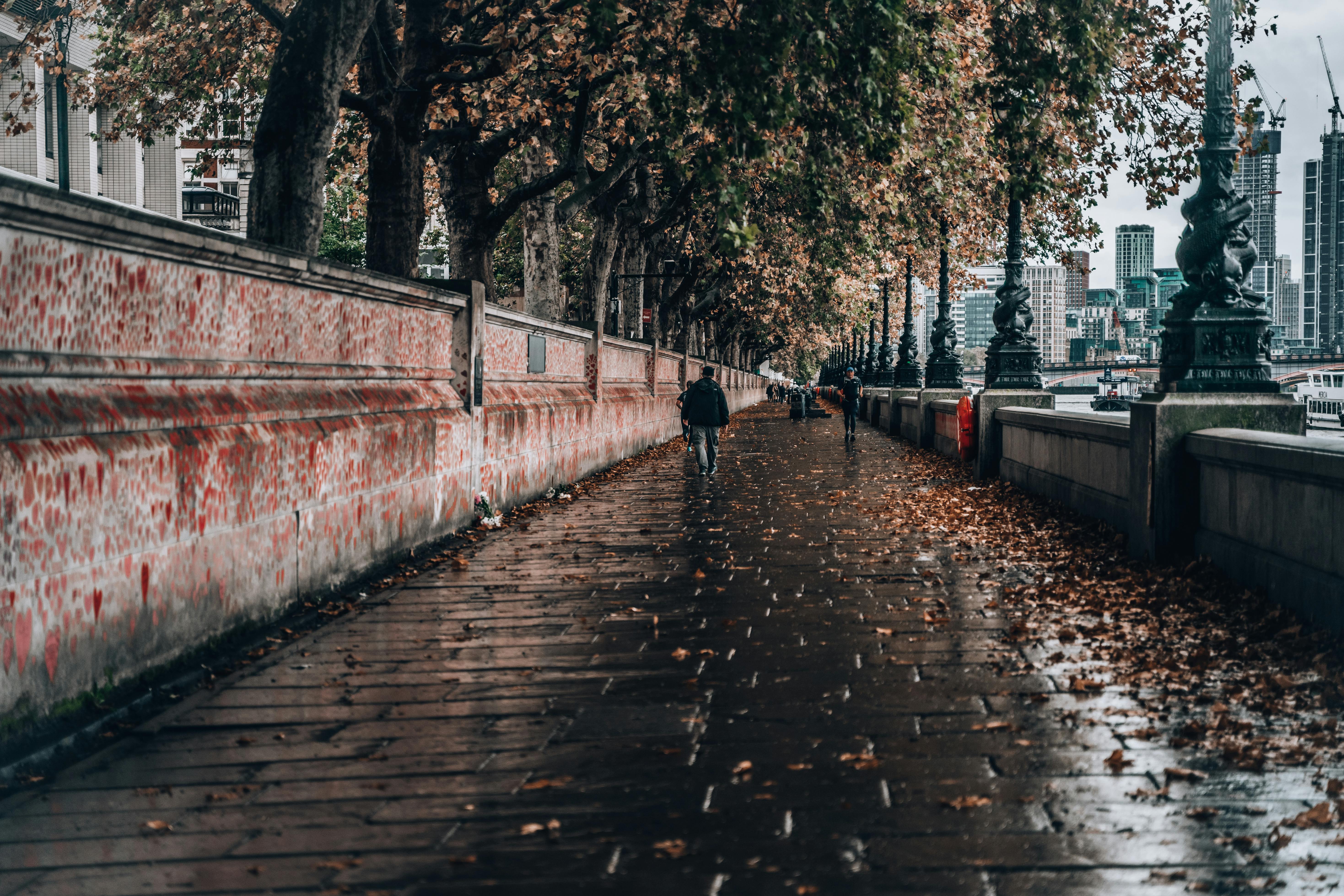 Bank of England leaves interest rates on hold with committee split 8-1; ECB also keeps rates steady – as it happened — Photo 