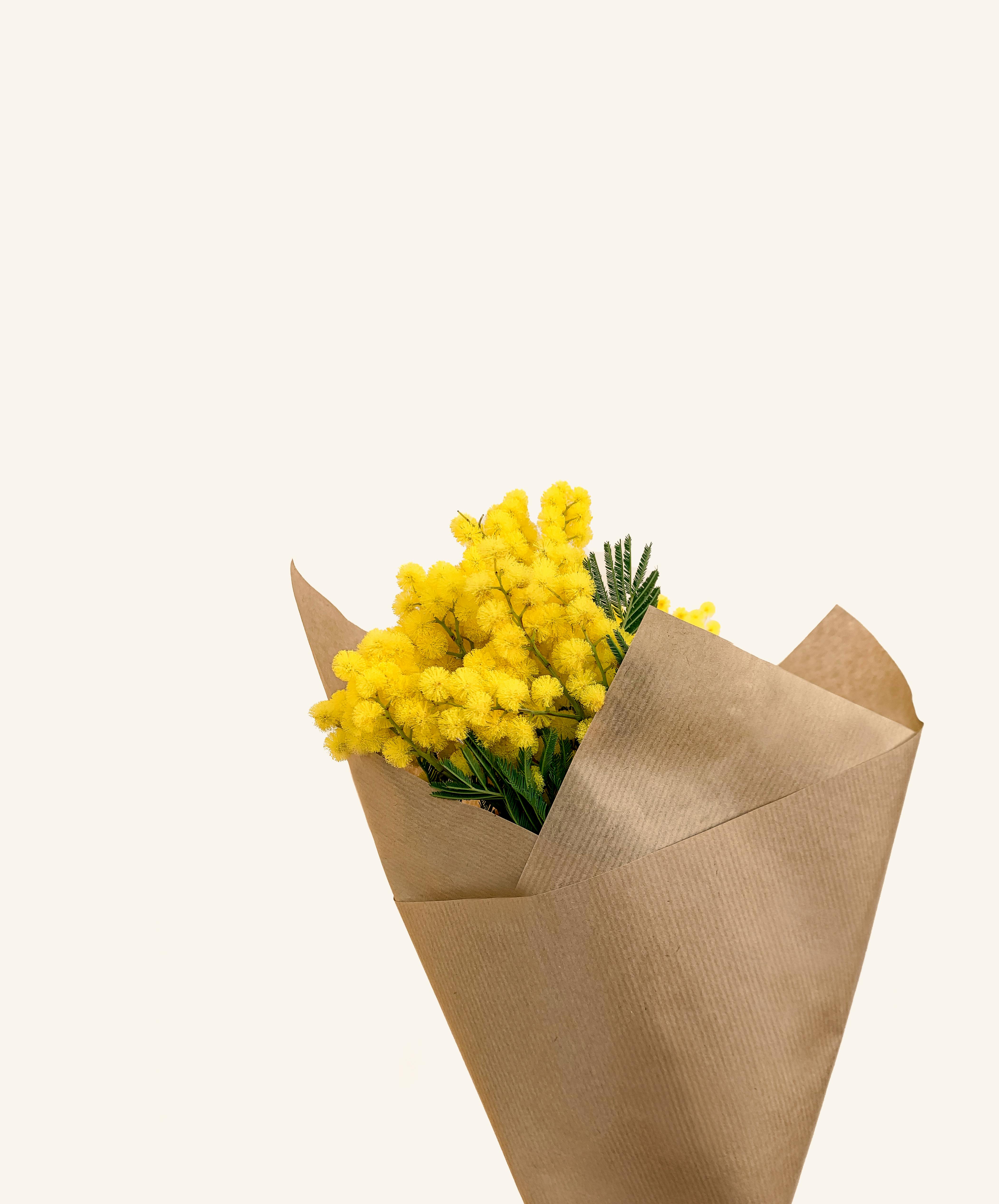 A minimalist bouquet of bright yellow mimosa flowers wrapped in brown paper against a neutral background.