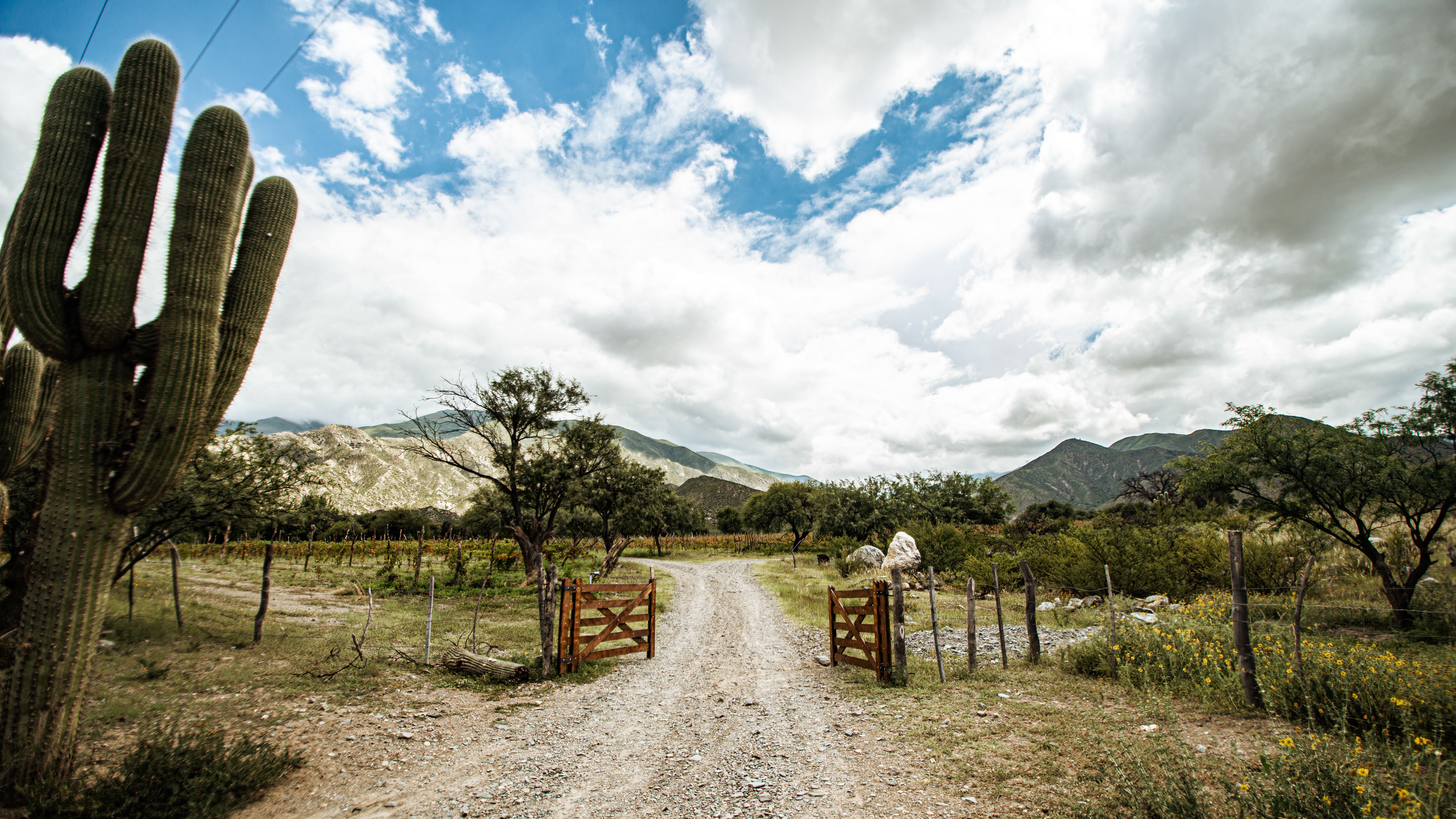 A serene mountain valley landscape with a dirt road, cactus, and wooden gate.