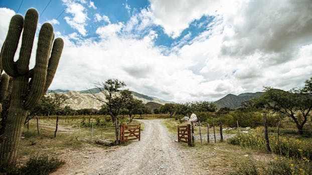 A serene mountain valley landscape with a dirt road, cactus, and wooden gate.