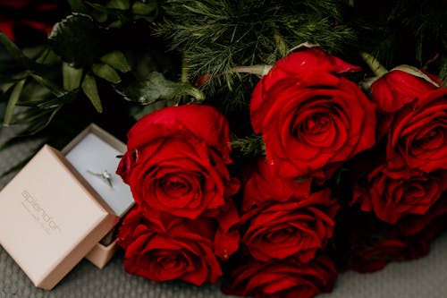 A Close-Up Shot of Red Roses and a Ring
