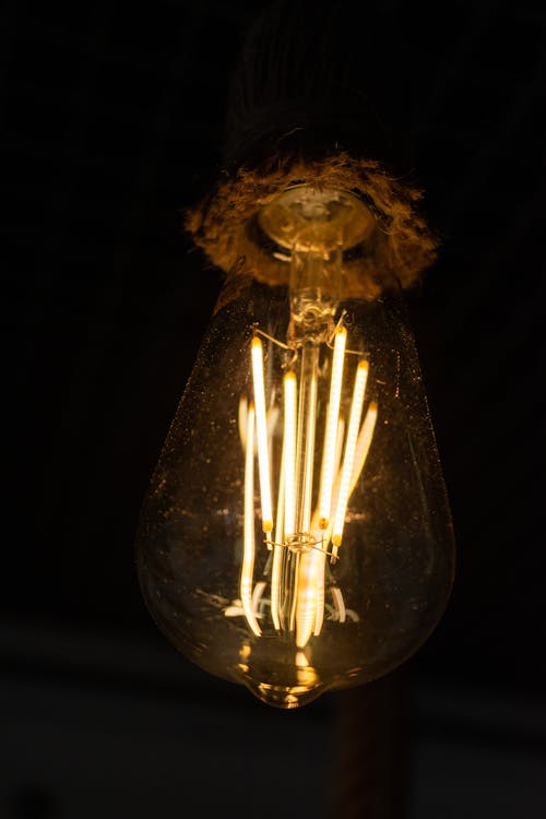 Free Filaments of a Lighted Bulb Stock Photo