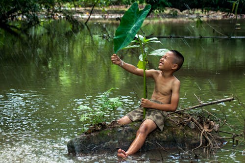 Asian little boy in shorts sitting on stump in ponder squinting eyes with lotus leaf under rain