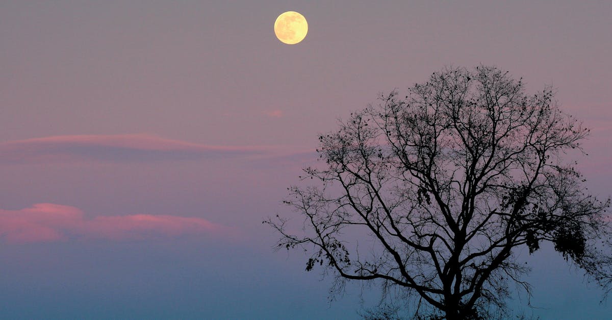 Does Pluto have 5 moons