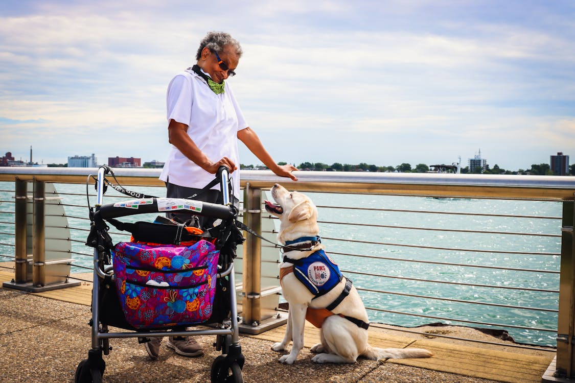 How to Get Your Dog Registered as a Service Dog How to Get Your Dog Registered as a Service Dog