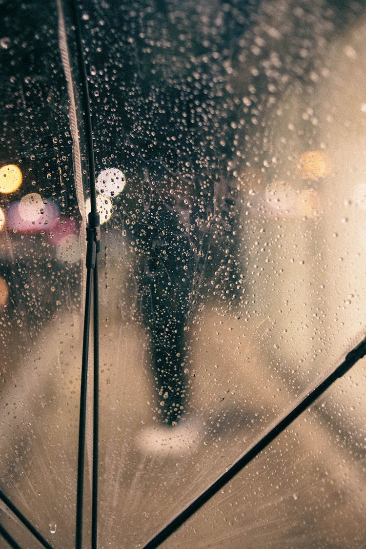 Rain On Clear Umbrella Surface