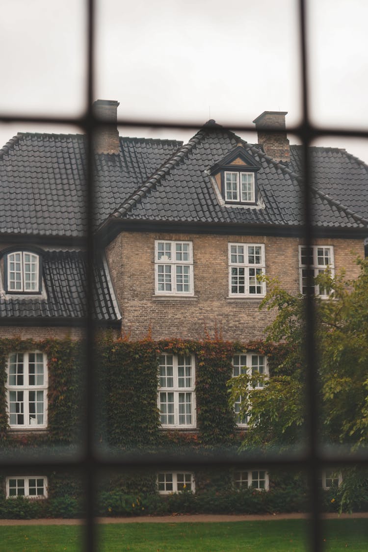 Building With Ivy Behind Bars