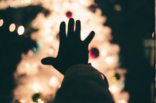 クリスマスツリー, シルエット, ハンドの無料の写真素材