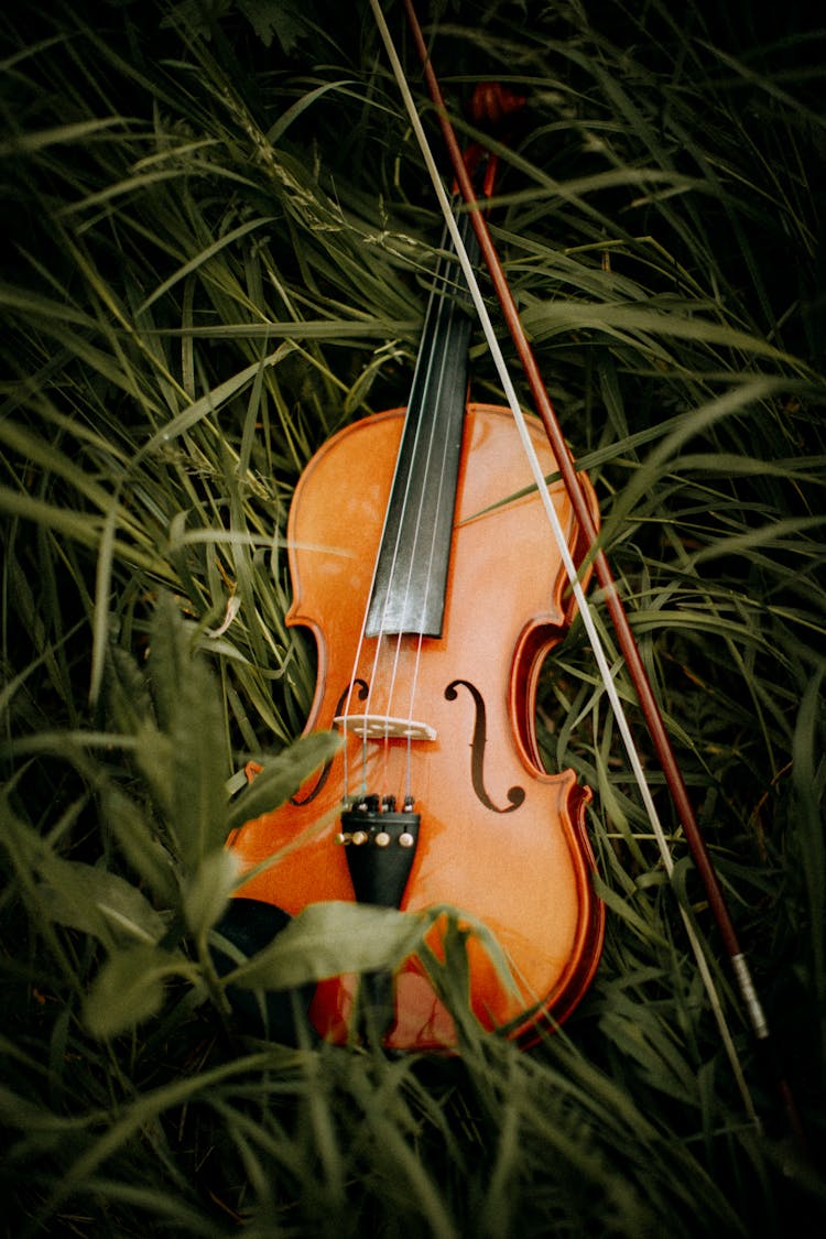 Violin On Grass