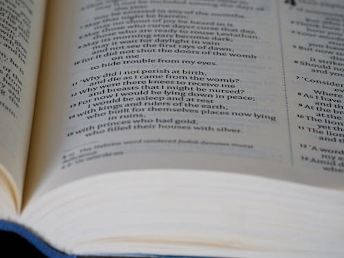 Бесплатное стоковое фото с canon, niv, Библия