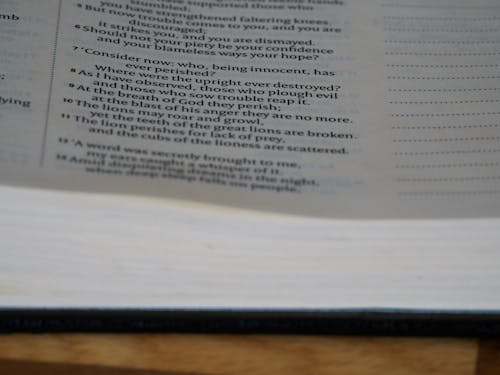 Бесплатное стоковое фото с canon, niv, Библия