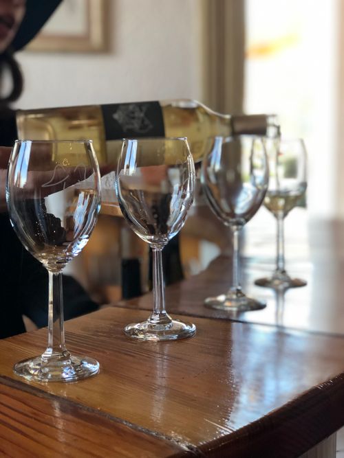 Free stock photo of wine tasting Stock Photo